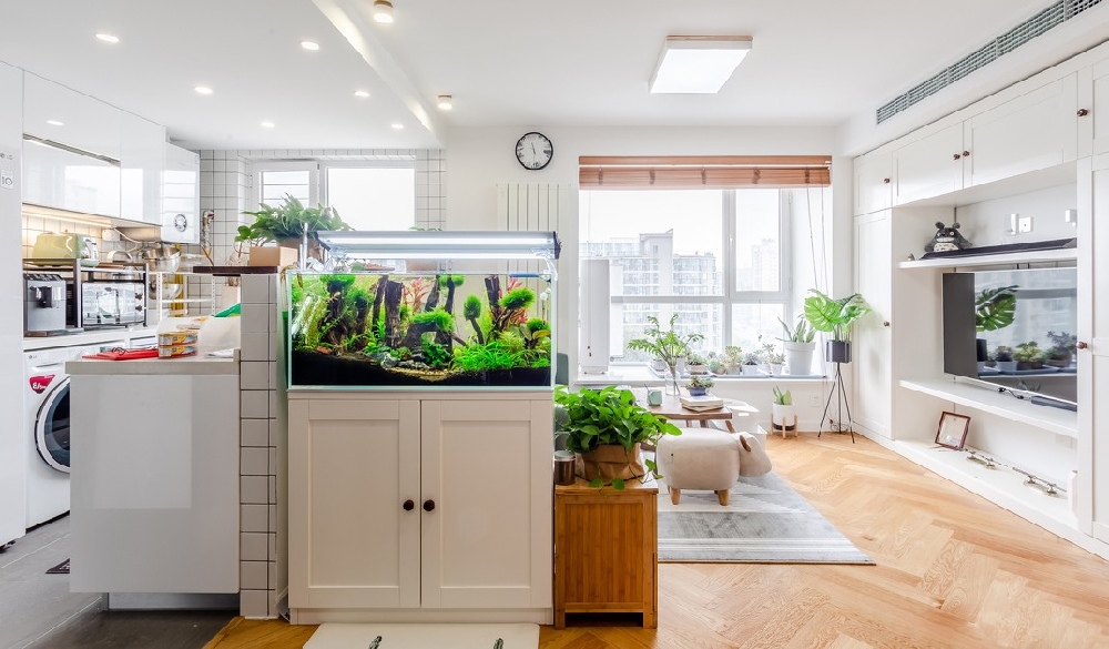 80㎡二層公寓 一個人也要精致生活~11641832